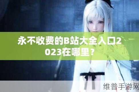 b站大全永不收费2023入口在哪里：1. 2023年B站大全永不收费地址详解与使用指南