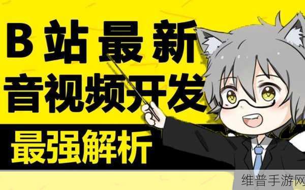 b站大全永不收费2023入口在哪里：1. 2023年B站大全永不收费地址详解与使用指南