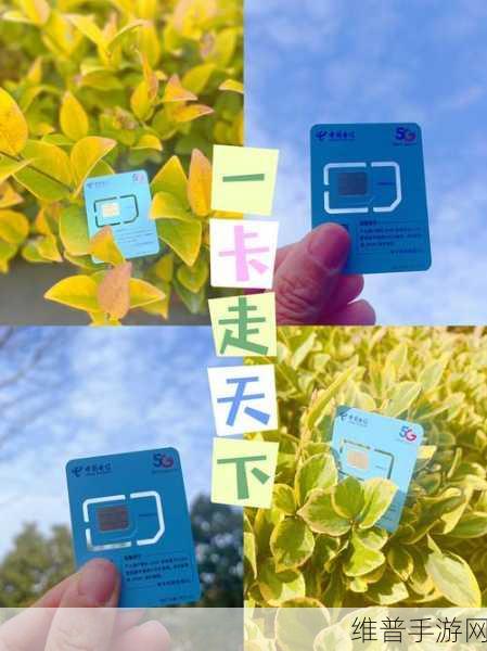 国产区一卡二卡精品:1. 一卡二卡:国产新选择,畅享无限可能