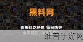 每日大赛51吃瓜:1. 每日大赛51:吃瓜背后的故事与揭秘