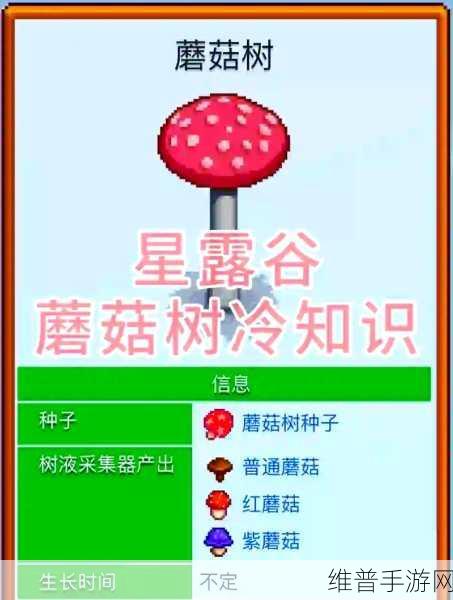 星露谷物语，罗宾斧子位置全解析