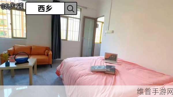 小雯和康健在深圳的租房活动：1. 小雯与康健的深圳租房奇遇记