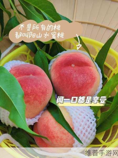 久久水蜜桃：1. 水蜜桃的清甜滋味，夏日必备美食推荐