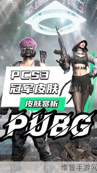 PUBG最新更新:PUBG新更新:战场重塑,全新武器与地图等你探索!