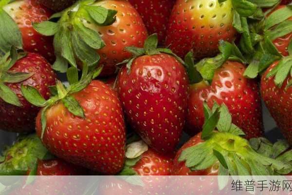 草苺ⅰos：1. 草苺iOS：探索甜蜜数字世界的无限可能