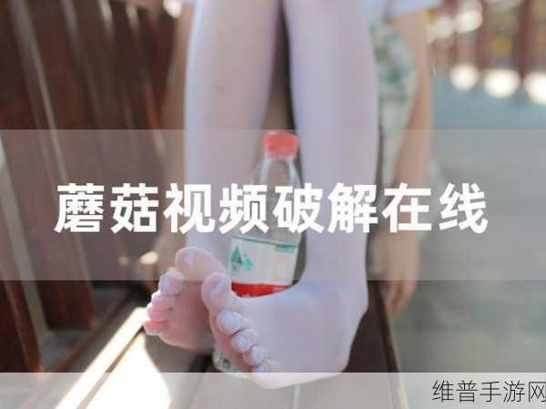 蘑菇视频黑料：1. 蘑菇视频背后的黑暗秘密竟然如此惊人