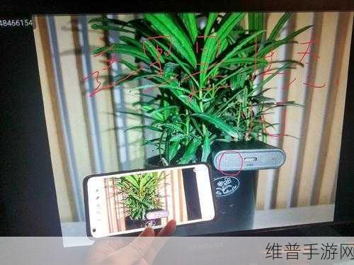 搞鸡time恶心APP：1. 跨越界限的恶心体验，让你欲罢不能！