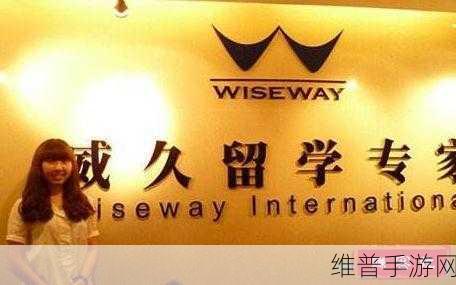 威久国际ppt免费:1. 威久国际:开启全球化商业新机遇