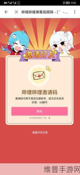 探寻哔哩哔哩邀请码的神秘所在