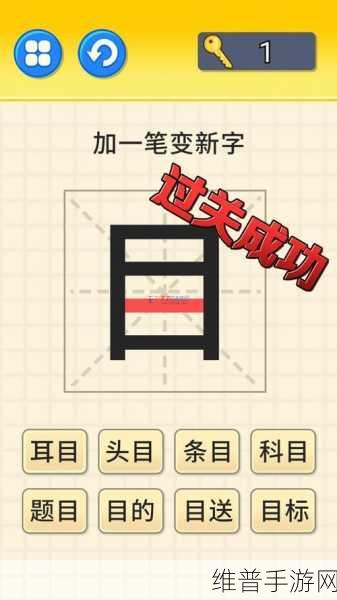 文字大挑战，解锁汉字魅力的休闲益智之旅