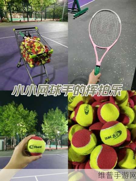 TinyToonyTennis游戏下载，畅享网球体育类游戏的激情与乐趣