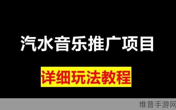 汽水音乐推广授权申请的流程是什么？：汽水音乐推广授权申请流程详解与注意事项