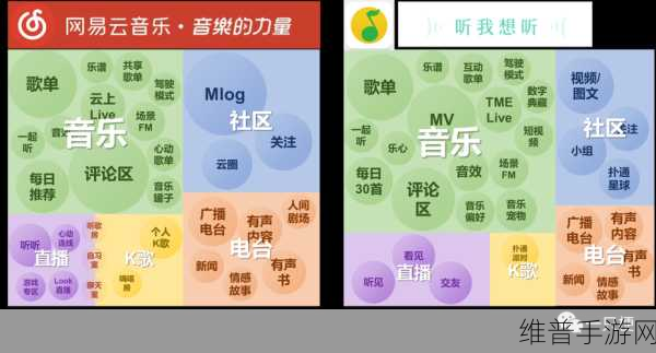 汽水音乐推广授权申请的流程是什么?:汽水音乐推广授权申请流程详解与注意事项
