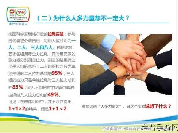 9人轮换：1. 九人轮换，团队协作新模式探索