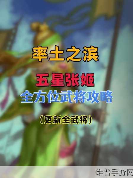 率土之滨五星张郃武将技能搭配全攻略