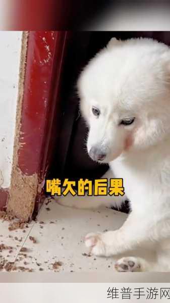 51fun吃瓜群众最新爆料：1. 51fun吃瓜群众最新揭秘：背后隐藏的惊天秘密！