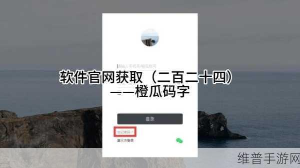 橙瓜码字 APP 自动启动码字页面设置全攻略