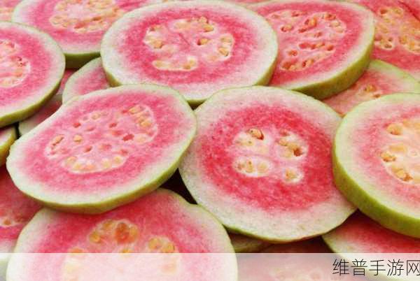 香蕉芭樂視頻www：1. ＂探索香蕉芭乐的美味世界：从种植到品尝