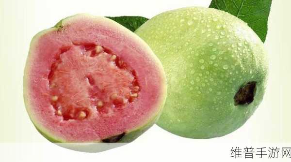 香蕉芭樂視頻www：1. ＂探索香蕉芭乐的美味世界：从种植到品尝