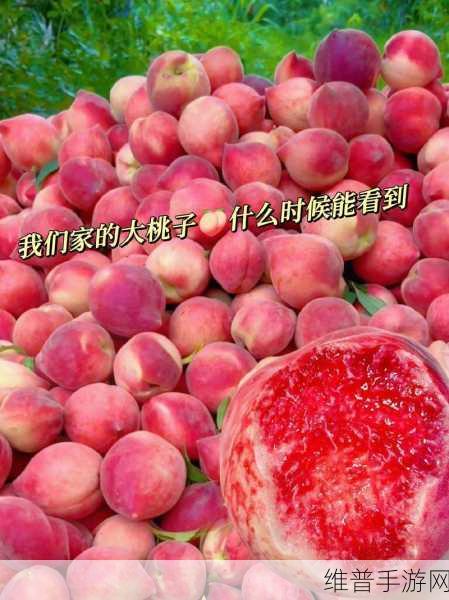 包括坤坤插进桃子里：1. 坤坤与桃子的奇妙冒险：探索美味的秘密