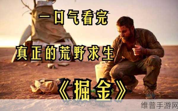 荒野掘金，古墓探索的冒险养成之旅深度攻略