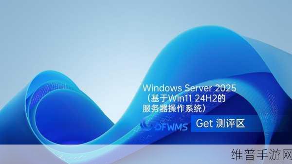 日本windowsserver高精度：基于日本Windows Server的高精度技术探索与应用创新