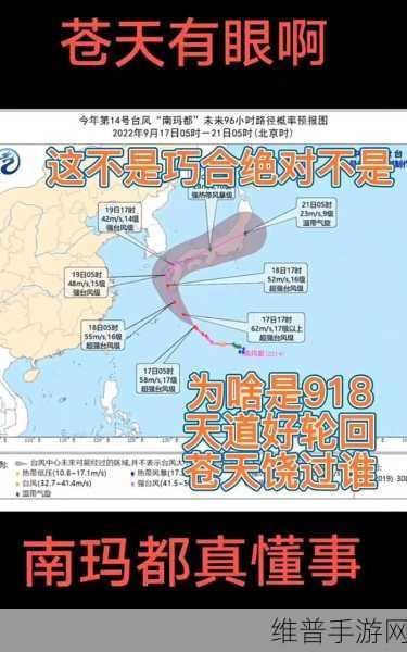 九幺高风险：1. 九幺高风险的挑战与应对策略
