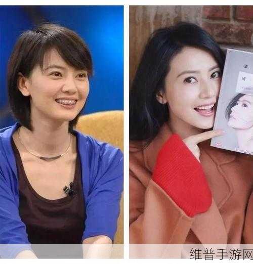 明星脸指数下载，探索玩法非常有趣的休闲小游戏新境界
