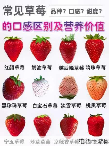 草莓ios视频旧版：1. 草莓ios视频：重温经典，发现新乐趣