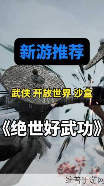 绝世好武功手机版下载，动作类角色扮演游戏的巅峰之作