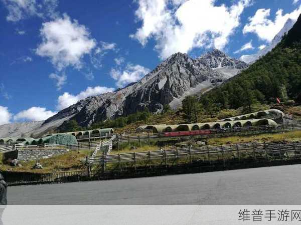穿越侏罗纪,甲龙视角的原始时代冒险之旅——全面游戏攻略