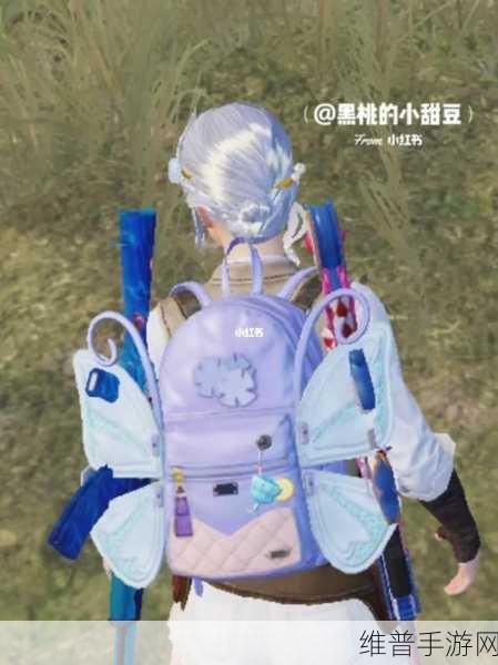 和平精英蝴蝶背包价格与获取全攻略