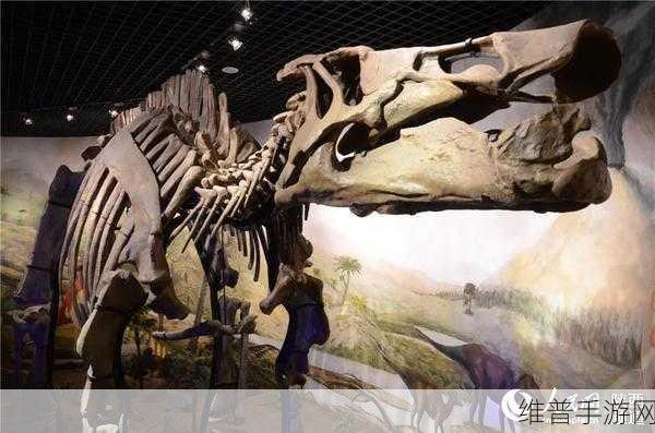 化石收藏家安卓版下载，在虚拟世界成为考古专家的奇妙之旅
