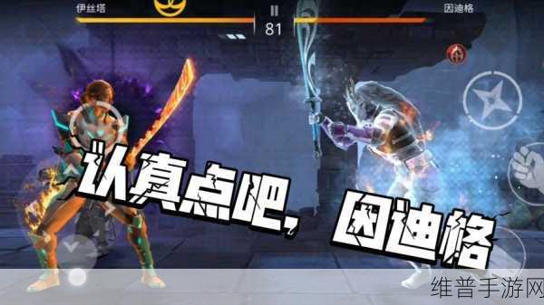 阴影格斗免费下载，深度解析这款动作格斗游戏的魅力与攻略