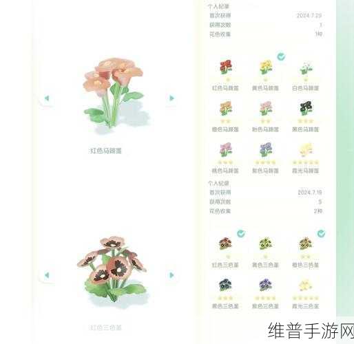 创造与魔法，突破经验上限的秘籍指南