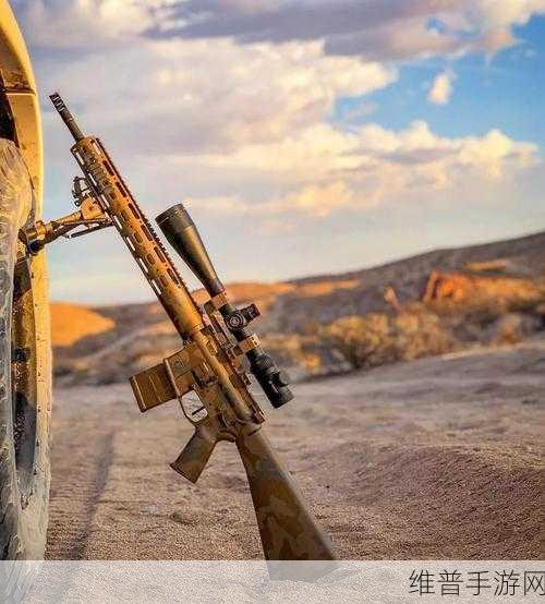 防御射手合并子弹，探索多元射击模式的冒险之旅