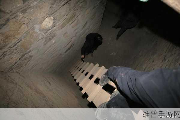 探秘贪婪地宫HD，一场惊心动魄的地宫冒险闯关之旅