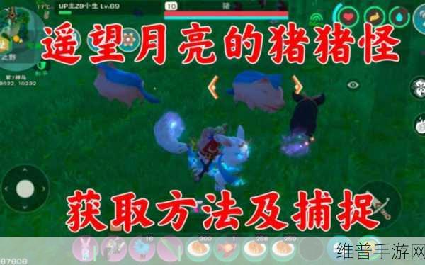 探索创造与魔法，获取元素精华的终极指南