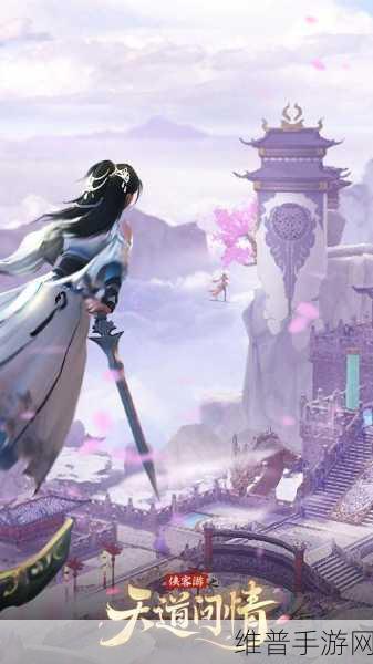 侠客游之天道无情BT版，热血仙侠之旅的全面攻略