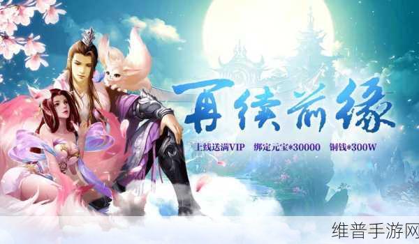 侠客游之天道无情BT版,热血仙侠之旅的全面攻略