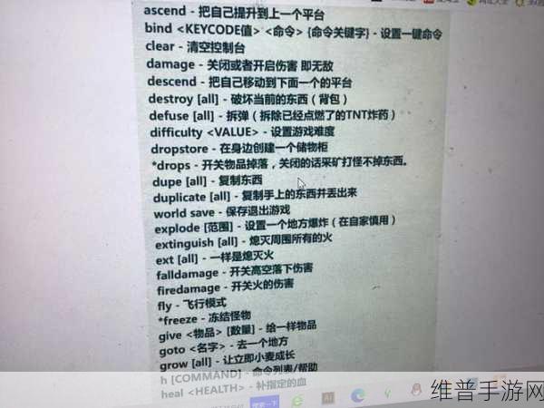 我的世界，物品入箱秘籍大公开