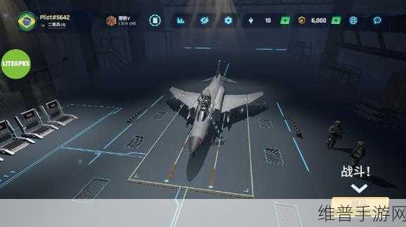 印度空军模拟器中文版下载,翱翔天际的空战射击盛宴