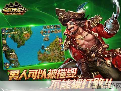 激战海盗团，扬帆起航，征服七海的策略之旅