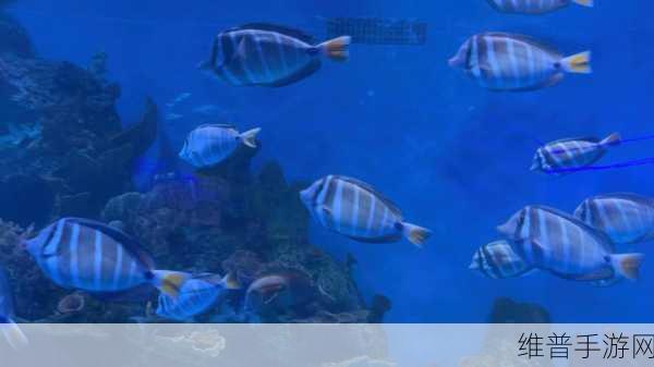 鲨鱼大战鱼.io,全新海洋竞技体验,等你来战!