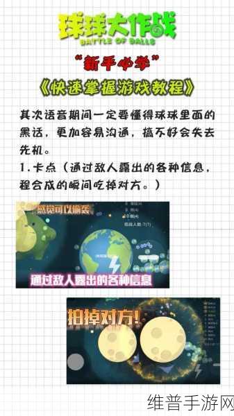 球球大赢家红包版下载，轻松解压的弹球射击游戏全攻略