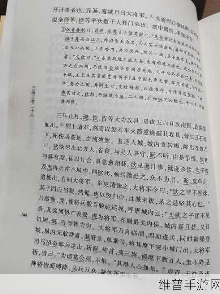 三国志 13，剖析十大短板与优化良方
