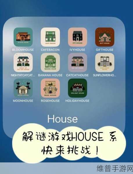 欢乐大挑战，解锁挑战与解谜的益智游戏新体验