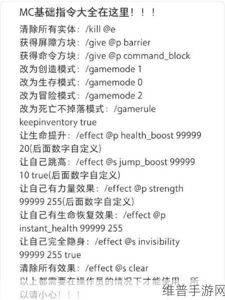 我的世界生存挑战，自杀指令的深度探秘与操作全解