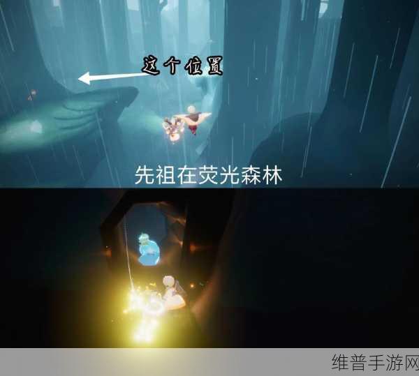 光遇探秘，雨林先祖隐匿之所大揭秘