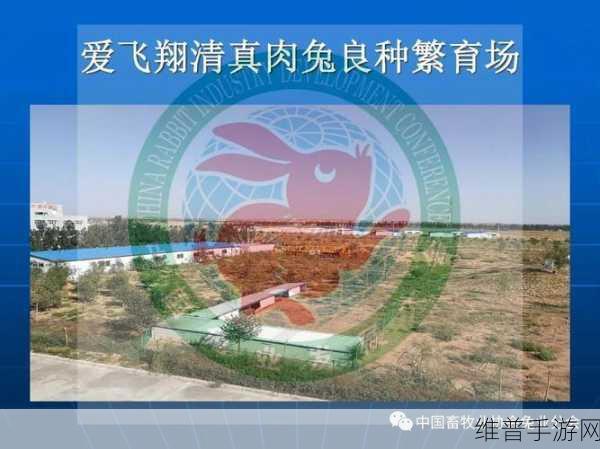 畜牧大陆,打造你的虚拟养殖王国游戏下载攻略